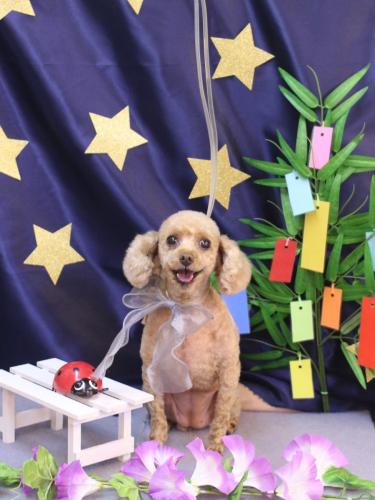 20230711バニラちゃん